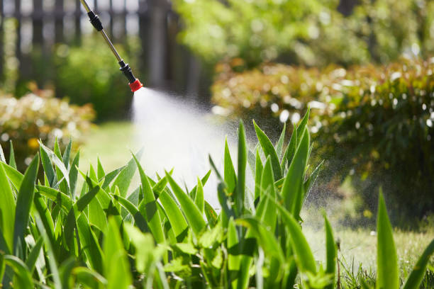 Tamper-Resistant Bait Stations for Rodents in Rineyville