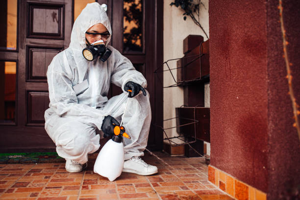 Attic and Crawl Space Rodent Treatment in Rineyville