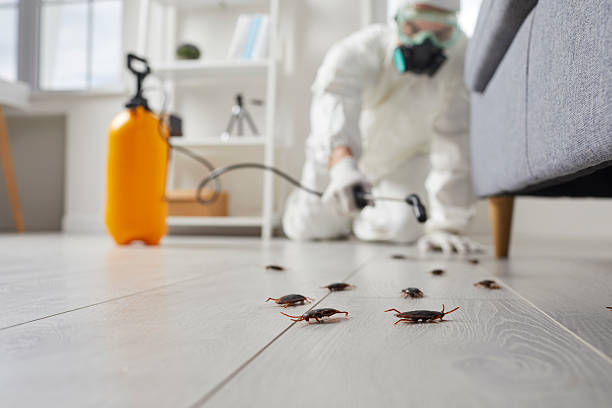 Commercial Rodent Management in Rineyville